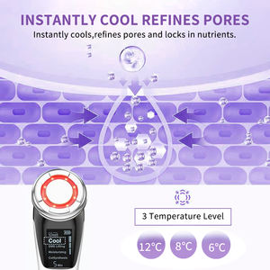 Massaggiatore Facciale Più Venduto in Europa per Uso Domestico Dispositivo di Bellezza Lifting Viso e Rassodamento della Pelle per Donna - Product Image 5