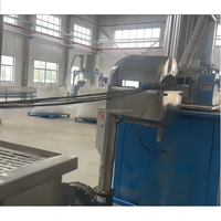Machines d'extrusion numériques personnalisées à double vis co-rotatives pour la production de granulés de recyclage du PE, ligne de production à haute productivité, roulement