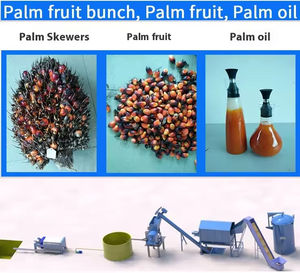 Durable Mini Palm <b>Oil</b> Processing Unit with Steel Construction <b>Diesel</b> <b>Engine</b> 15HP Suitable for Harsh Rural African Conditions - Product Image 4