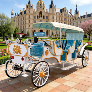 Multifunctional Sightseeing Carriage Electric & Horse Drawn Dual Use <b>Coach</b> for Commercial Tour - Product Image 1
