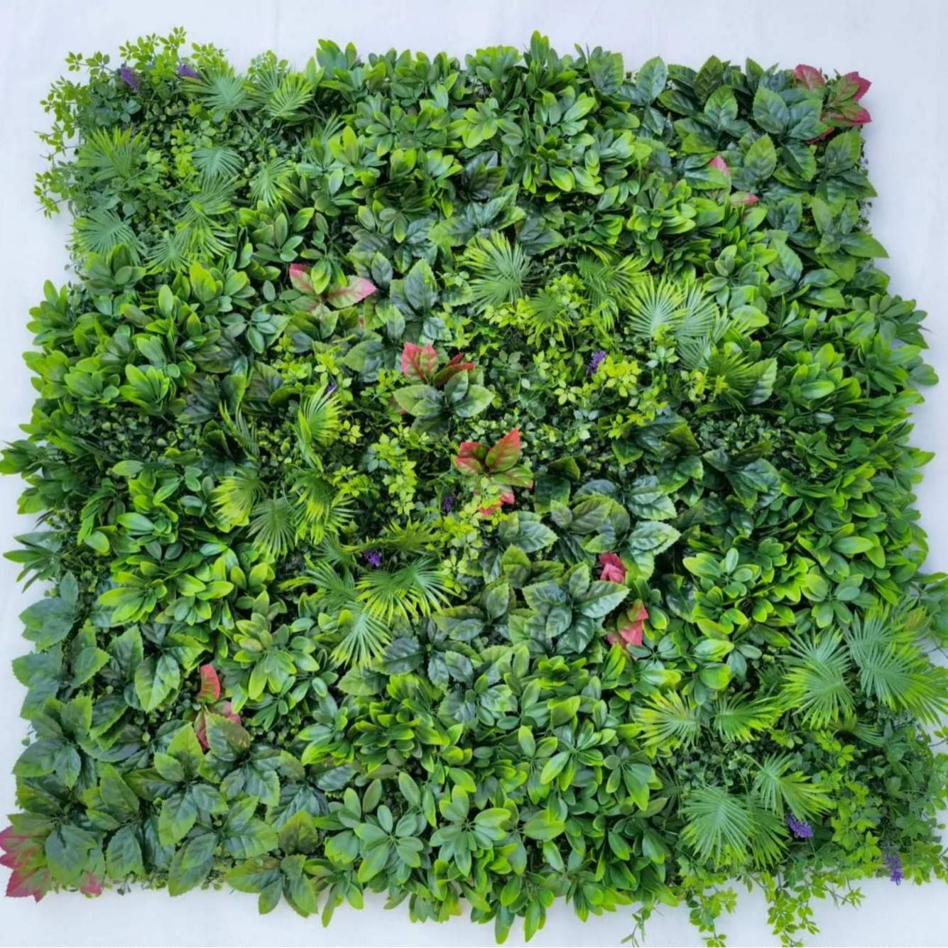 E specification 100*100