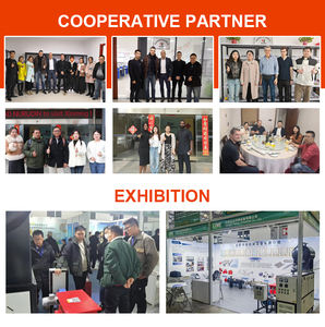 Elemento Calefactor de <span class=keywords><strong>Tubo</strong></span> de Resistencia Industrial, Calentador de Cartucho de 110v 250w para Encendedor de <span class=keywords><strong>Estufa</strong></span> de Pellets - Product Image 6