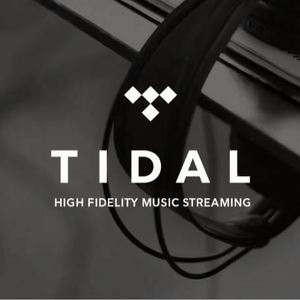Suscripción Premium a Tidal Music por 12 Meses, Cuentas Tidal, Tidal Hifi Plus 1 Año - Product Image 2