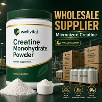 Fabricant de compléments alimentaires en gros, poudre de créatine monohydratée micronisée pour la récupération musculaire