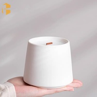 Saint Valentin nouveau design étiquette personnalisée forme unique couleur blanche conteneur de bougie décoration de la maison de luxe pot de bougie en céramique