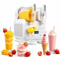 Machine à glace molle OEM en gros avec compresseur intégré, machine à boissons glacées, marque privée, commande en gros