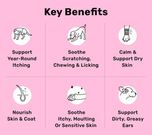 100% doğal köpekler alerji kabartma bağışıklık ve cilt ceket destek yumuşak çiğneme somon yağı ile Pet vitamini <span class=keywords><strong>C</strong></span> Pet sağlık takviyeleri - Product Image 3