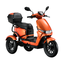 Scooter électrique à 3 roues en alliage d'aluminium 1000W, moteur sans balais, batterie au lithium étanche, autonomie de 110 km pour adultes et personnes âgées