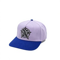 Gorra de Béisbol de 5 Paneles con Bordado en Dos Tonos, de Poliéster/Algodón, Ajustable con Cierre a Presión, para Hombre y Mujer, para Deportes al Aire Libre, Casual, Protección Solar