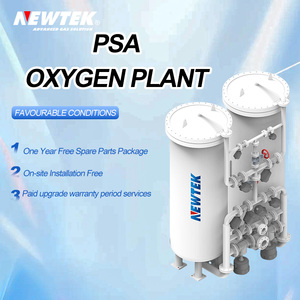 Il generatore di ossigeno Generador De Oxigeno PSA 30Nm 3/hr di NEWTEK 95% fornisce servizi gratuiti di installazione in loco - Product Image 2