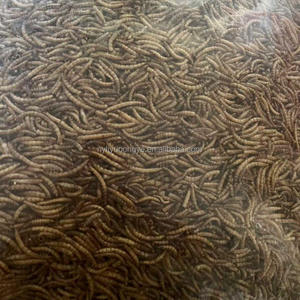 ハイプロテインアニマルフィード乾燥ミールワーム黒兵士フライ幼虫ペット用 - Product Image 4