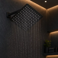 Pommeau de douche de plafond ultra-mince noir mat de 12 pouces en acier inoxydable SUS304, accessoires de robinetterie de salle de bain