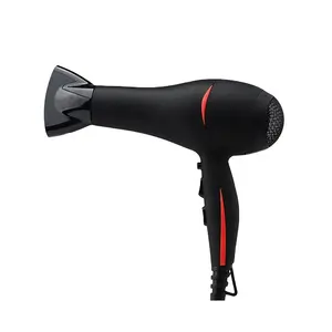 With Removable Filter Electric Wholesale Ac Motor Hair Dryer,Hair Dryers