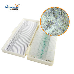 Portaobjetos de microscopio para observación de Nostoc commune, plantas, algas, cianobacterias, especímenes de sección biológica. - Product Image 2