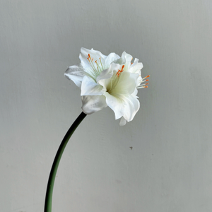 Offre Spéciale Fleurs Artificielles <span class=keywords><strong>Amaryllis</strong></span> Soie Toucher Réel Clivia 4 Têtes Décoration Maison - Product Image 5