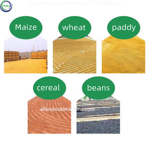 Rijst En Tarwe Laden En Graan Zuig Machine Truck Type Graan Ontvangst Machine Maïs Transportband - Product Image 4