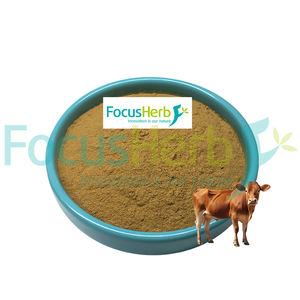 FocusHerb USA Warehouse Spot Wholesale New Zealand Grass Fed Organic Beef Pancreas Powder - Product Image 1