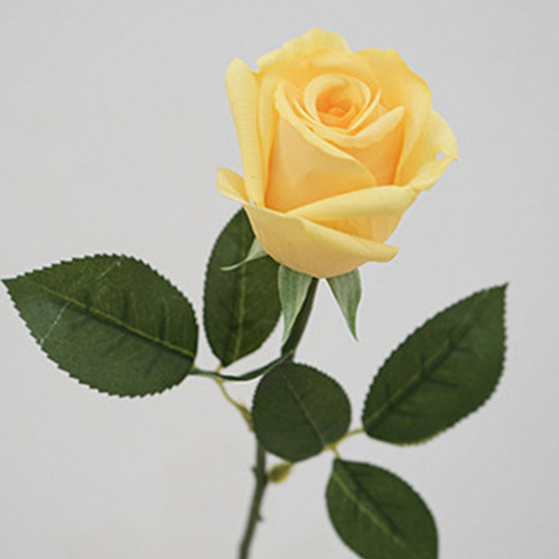 Jaune