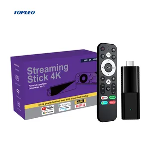 Topleo allwinner H313 akıllı 4gb kutusu tv android 10.0 akıllı android tv çubuk mini PC 4k