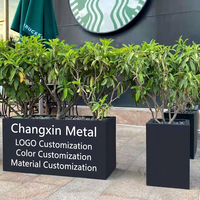 Jardinière moderne en acier inoxydable pour la décoration extérieure et les projets paysagers