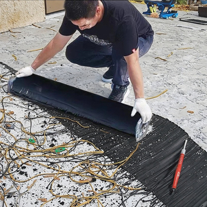 APP SBS Modified Bitumen <strong>Roofing</strong> Membrane TPO HDPE Industrial Grade Water Resistant Outdoor Pond Rubber PE <strong>Plastic</strong> Modern - Product Image 3