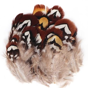 Bán Buôn Ấn Độ Reeves Gà lôi Lông 6-10Cm Nâu Nhỏ Số Lượng Lớn Trang Trí Nội Thất Cho Hàng Thủ Công Và Mũ Mô Hình Nguyên Liệu xinyuling Thương Hiệu Trung Quốc - Product Image 5