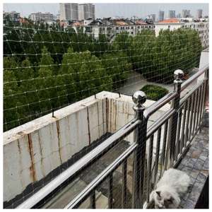 Hot Sale Nylon Hdpe Transparent 3*4m 3*8m Starkes Katzen fenster Fechten Balkon Sicherheits schutz Katzen netz - Product Image 3