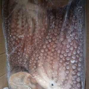 Obtener <span class=keywords><strong>precio</strong></span> ahora <span class=keywords><strong>pulpo</strong></span> gigante <span class=keywords><strong>congelado</strong></span> en buena calidad - Product Image 2