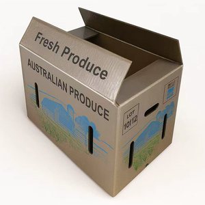 कृषि उत्पादन के लिए वाटरप्रूफ नालीदार कार्टन बॉक्स कोल्ड चेन सब्जी फार्म परिवहन और भंडारण पैकेजिंग - Product Image 1