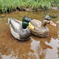 Paire de leurres réalistes de canards mallards flottants, mâle et femelle, pour la chasse aux oiseaux aquatiques, décoration animale factice en mousse EVA légère et durable