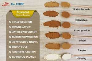 Экстракт <span class=keywords><strong>Notoginseng</strong></span> <span class=keywords><strong>Panax</strong></span> <span class=keywords><strong>Notoginseng</strong></span> <span class=keywords><strong>Saponins</strong></span> 80% notogoginseng, порошок экстракта корня женьшеня - Product Image 4
