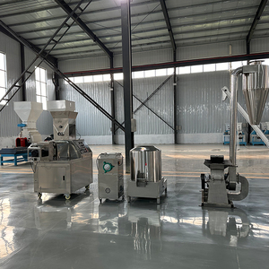 100-200 kg/h Ligne de production de riz soufflé Muri Poha extrudé continu Usine de processus de machine - Product Image 1