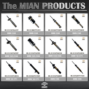 Produttore vendite OE 31316783016 originale di fabbrica Standard prestazioni ammortizzatore idraulico posteriore per <span class=keywords><strong>bmw</strong></span> X6 - Product Image 4