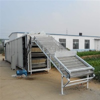 Droogmachine voor tarwe en maïs, continu-droogmachine voor fruit en groenten met heteluchttransportband
