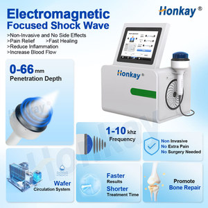 Dispositivo de Terapia <span class=keywords><strong>Tecar</strong></span> Inteligente de 448KHZ de Alto Rendimiento para el Manejo del Dolor en Animales, Venta Directa de Fábrica, para Alivio Muscular - Product Image 3