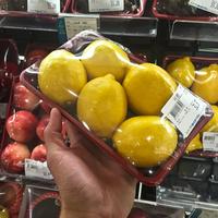 Multifunctionele plasticfolie-snijder & -verzegelaar - Geschikt voor fruit, groenten, sandwiches & kant-en-klare maaltijden