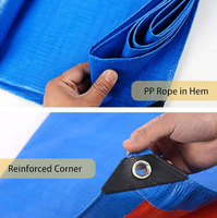 Bâche imperméable robuste en PE vierge ignifuge et antistatique de qualité supérieure pour usage agricole et automobile