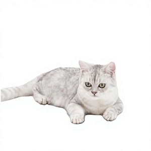 Waterproof Eco-friendly EVA Square Cat Lick Mats with <b>Suction</b> <b>Cups</b> Hand Wash Easy to Clean Slow Feeder - Product Image 2