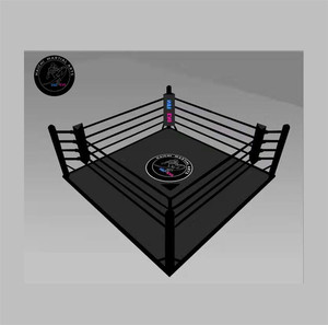 <span class=keywords><strong>Ring</strong></span> da Boxe Pieghevole Multifunzionale di Alta Qualità - Product Image 3