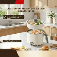 Mini-cuiseur électrique double tension portable pour étudiants, marmite multifonction pour nouilles