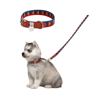 Collar de marca para perro, collar ajustable para mascotas y conjunto de correa, accesorios de moda para mascotas, disponible en stock. - Product Image 3
