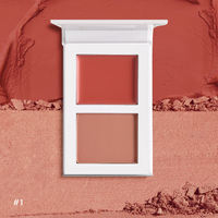 Nouvelle Arrivée Poudre de Fard à Joues Légère Personnalisable avec Votre Logo Facile à Appliquer Fard à Joues Double Couleur Haute Pigmentation