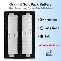 Batterie Li-Polymère en Gros SK80 SK60 SK77 77.7Ah 70Ah Soft Pack 3.7V pour Véhicules Électriques et Stockage d'Énergie - Cellules Lithium Pouch