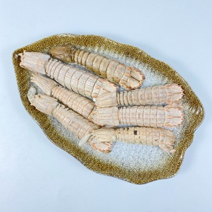 Friandises pour chats de qualité supérieure, riches en calcium, à base de vrais fruits de mer, en petites lots, saines et croustillantes, marque privée, crevettes mantis lyophilisées - Product Image 5