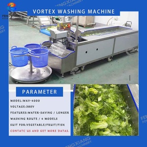 Línea de Procesamiento Automática de Coliflor y Brócoli de Acero Inoxidable con Motor, Máquina de Lavado y Corte de Vegetales de Alta Capacidad - Product Image 6
