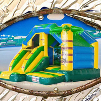 Toboggan aquatique gonflable pour enfants Doctor Dolphin NT-63009, prix de gros avantageux, petit modèle en PVC, installation facile, capacité 3 personnes/135 kg