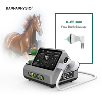 Máquina de Terapia de Ondas de Choque Veterinaria Kaphaphysio PIEZONIA para Rehabilitación de Caballos, Perros y Otros Animales en Clínicas