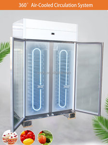 Congélateur vertical commercial à température unique, double porte, refroidissement par air, avec porte vitrée pour présentation - Product Image 3