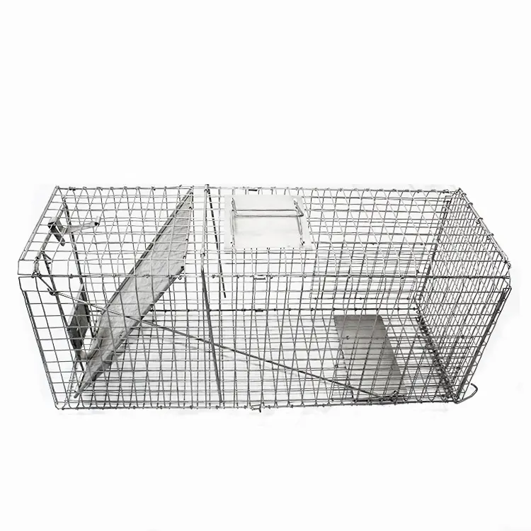 Trappole per animali di sopravvivenza R Live Fox Cage rete metallica Mouse Rat Catch Release Animal Cage Trap