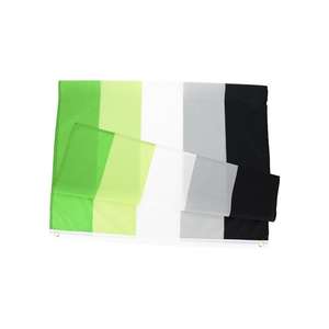 ธง LGBTQ+ อะโรแมนติก ไพรด์ ขนาด 3x5 ฟุต ผลิตจากโพลีเอสเตอร์ ทนทาน สีสันสดใส เหมาะสำหรับงานเดินขบวน งานปาร์ตี้ และตกแต่งในเดือนไพรด์ - Product Image 5